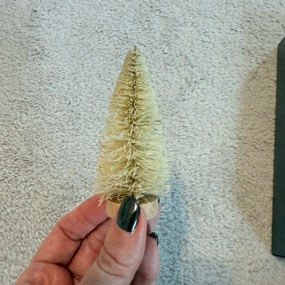 West Elm bottlebrush trees